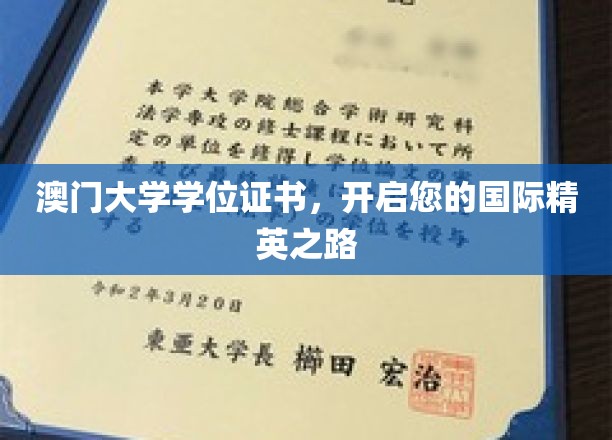 澳门大学学位，助您踏上国际精英教育之旅
