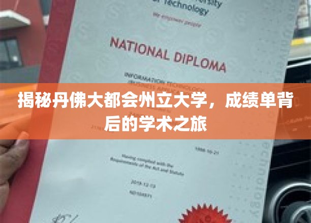 丹佛大都会州立大学，探索成绩单背后的学术奥秘之旅