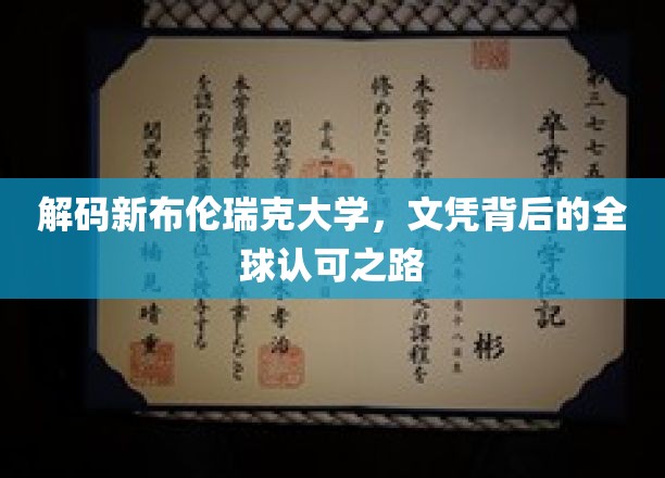 探索新布伦瑞克大学，国际认可的文凭奥秘之旅