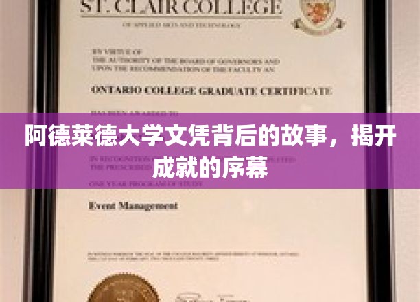 解码阿德莱德荣耀，探寻成就背后的独特篇章