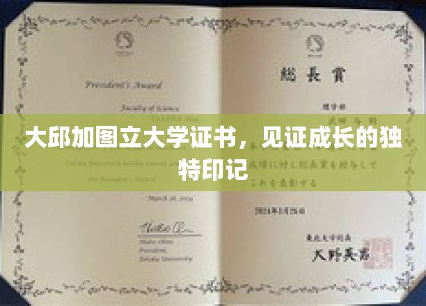 青春足迹，大邱加图立大学证书，铭刻成长非凡印记