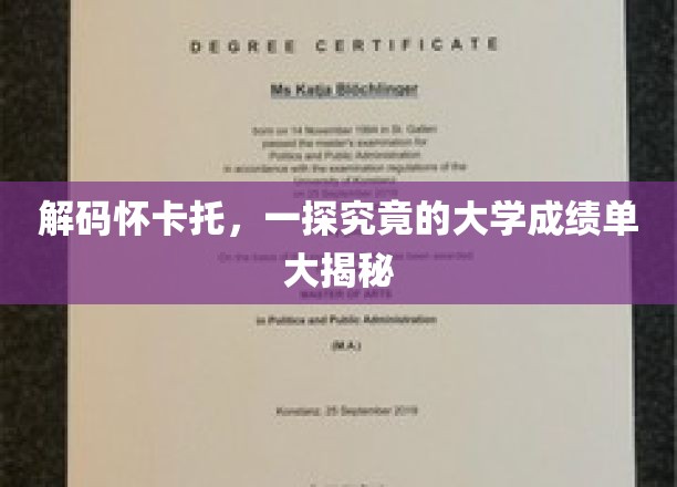 解码怀卡托，一探究竟的大学成绩单大揭秘