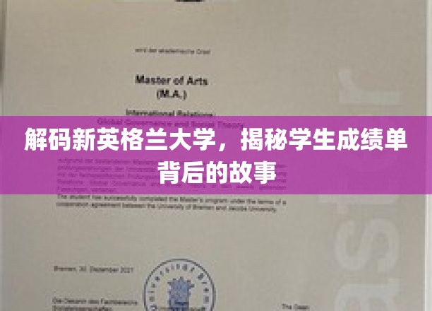 探秘新英格兰大学，揭开学生成绩单背后的奥秘与传奇
