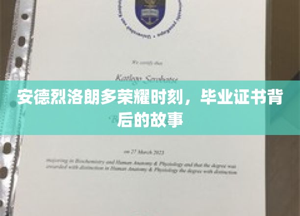 荣耀毕业，证书背后的安德烈洛朗多传奇故事