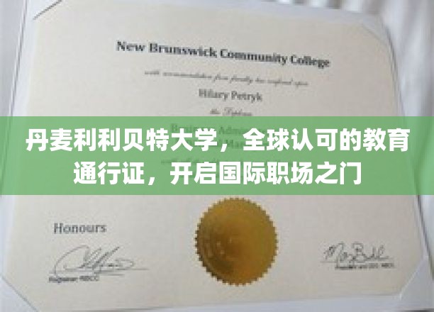 解锁全球职场大门，丹麦利利贝特大学教育通行证的魅力