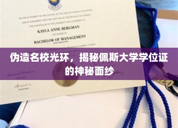 揭开佩斯大学假文凭的华丽外衣