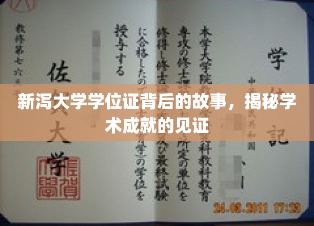 新泻大学学位证书背后的故事，揭秘学术成就的见证