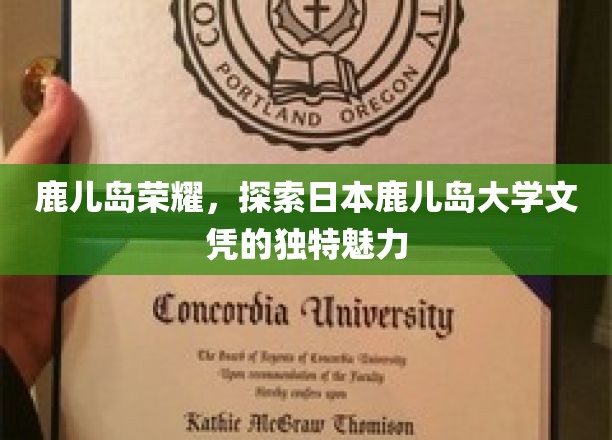 岛韵学海，鹿儿岛大学文凭背后的非凡故事