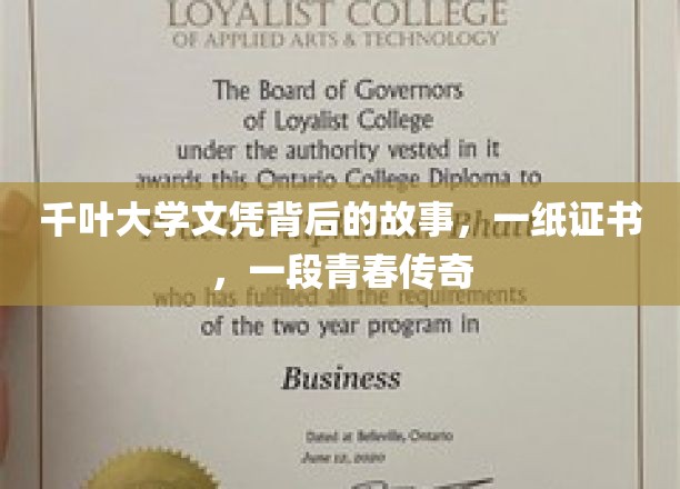 千叶大学证书见证，青春岁月里的传奇篇章