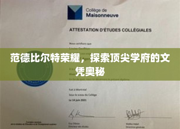 解锁范德比尔特荣耀，探寻顶级学府的文凭密码