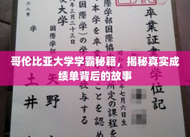 哥伦比亚大学学霸养成记，揭开顶尖成绩单背后的独家秘诀