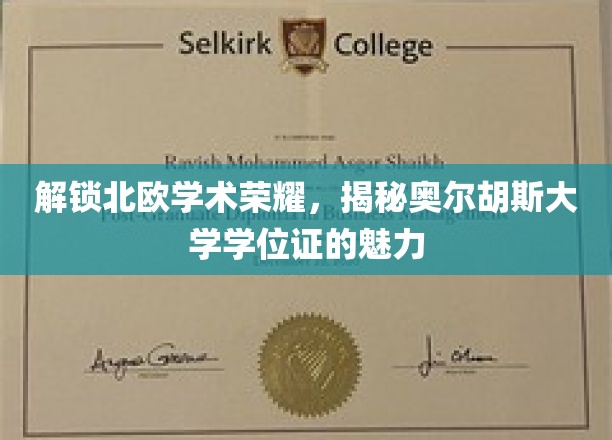 探寻北欧教育瑰宝，奥尔胡斯大学学位证的独特魅力