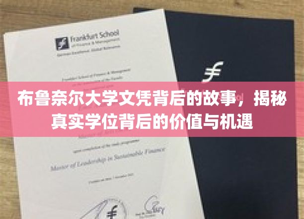 布鲁奈尔大学文凭背后的故事，揭秘真实学位背后的价值与机遇