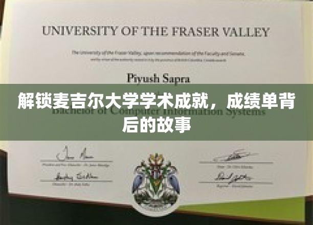 麦吉尔大学揭秘，揭开成绩单背后的辉煌历程