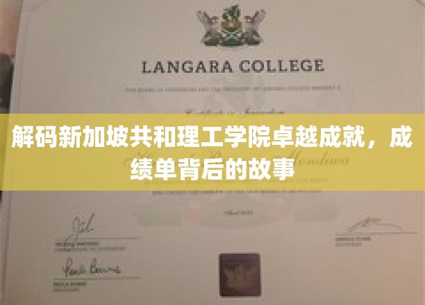 新加坡共和理工学院，揭秘辉煌成绩单背后的传奇历程