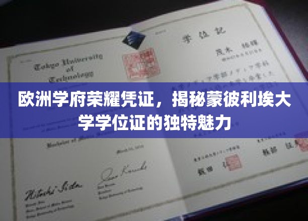 欧洲名校荣耀印记，探寻蒙彼利埃大学学位证的独到风采