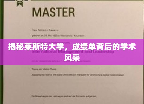 莱斯特大学：揭秘成绩单背后的学术风采