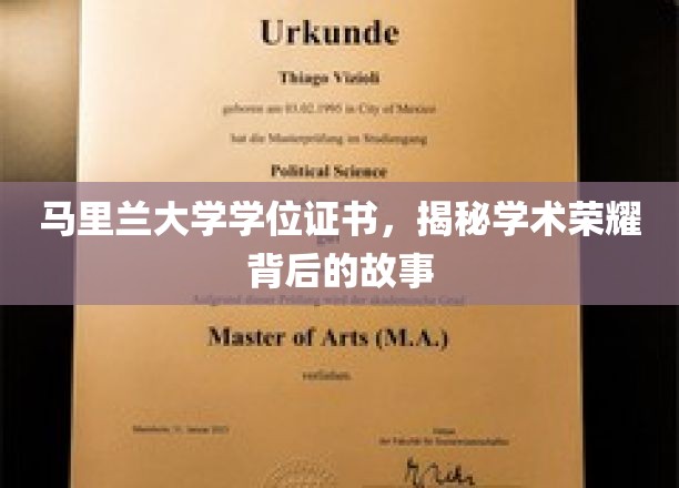 马里兰大学学位证书，揭开荣耀证书背后的学术传奇