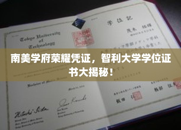 智利大学学位证书背后的南美学府传奇大公开！