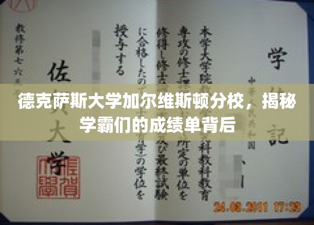 德克萨斯大学加尔维斯顿分校，揭秘学霸们的成绩单背后