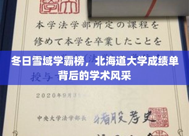 冬日雪域学霸榜，北海道大学成绩单背后的学术风采