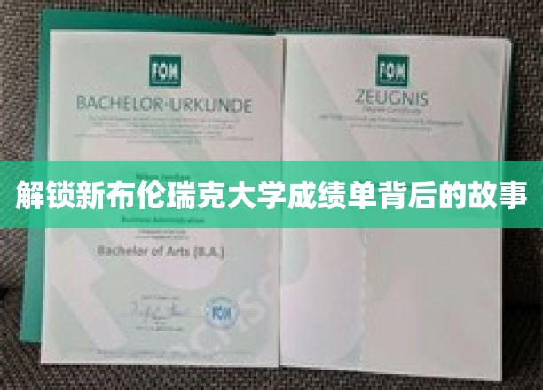 揭开新布伦瑞克大学成绩单的神秘面纱，探索不为人知的背后故事