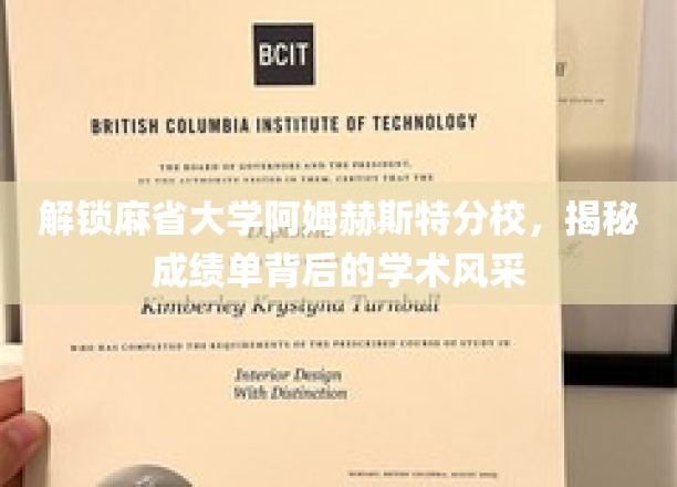 探寻麻省大学阿姆赫斯特分校，揭秘成绩单背后的卓越学术魅力