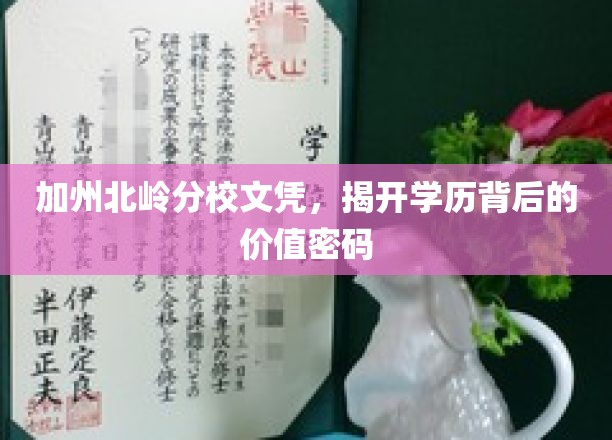 学历之光，加州北岭分校文凭背后的价值奥秘揭晓