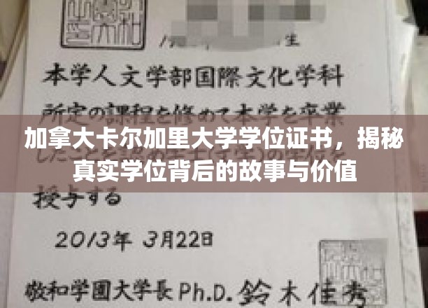 加拿大卡尔加里大学学位证书，揭秘真实学位背后的故事与价值