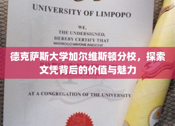 解码德克萨斯大学加尔维斯顿分校，文凭价值与魅力之旅