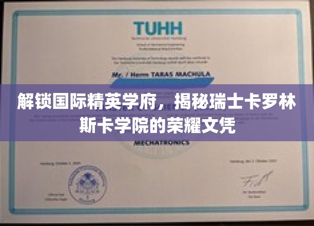 瑞士卡罗林斯卡学院，揭秘世界精英摇篮的璀璨文凭