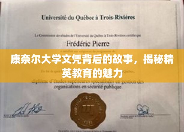 精英摇篮的康奈尔传奇，文凭背后的不凡魅力