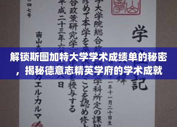 探寻斯图加特大学卓越成绩背后的学术奥秘