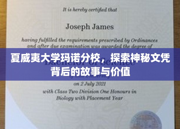 夏威夷大学玛诺分校，探索神秘文凭背后的故事与价值