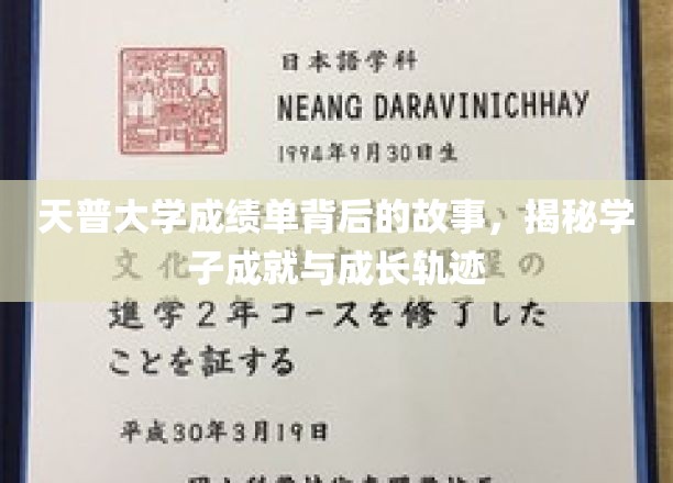 天普大学成绩单背后的故事，揭秘学子成就与成长轨迹