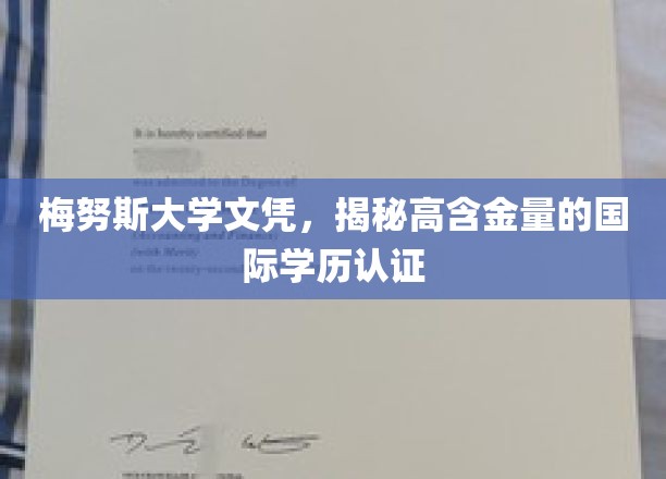 梅努斯大学文凭，揭秘高含金量的国际学历认证