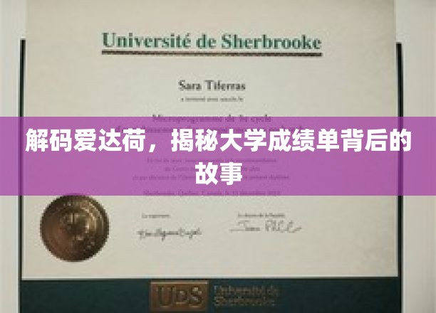 解码爱达荷，揭秘大学成绩单背后的故事