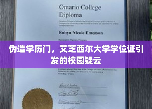 伪造学历门，艾芝西尔大学学位证引发的校园疑云