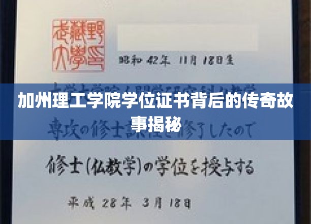 解码加州理工荣耀，学位证书背后的传奇传奇历程