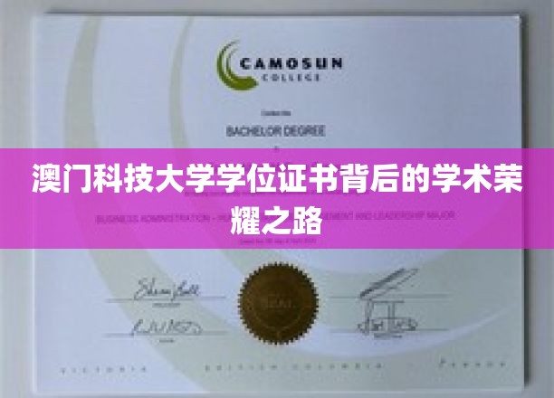 揭开澳门科技大学学位证书背后的辉煌学术历程