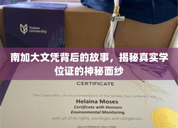 南加大文凭之谜，揭开名校学位背后的真实面纱
