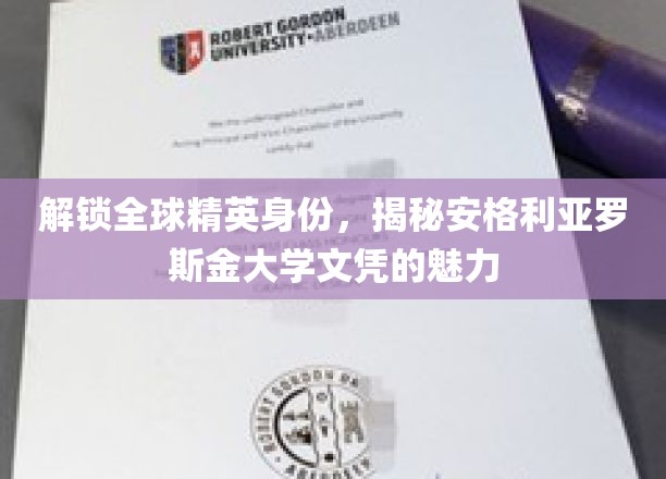 跨国精英通行证，揭秘安格利亚罗斯金大学学位的非凡价值