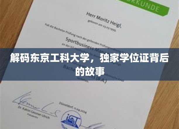 东京工科大学学位证揭秘，背后的非凡传奇