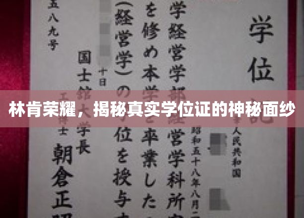 林肯荣耀,揭秘真实学位证的神秘面纱