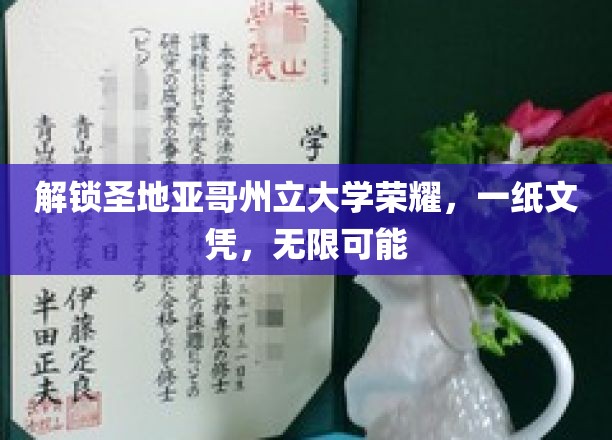 解锁圣地亚哥州立大学荣耀，一纸文凭，无限可能