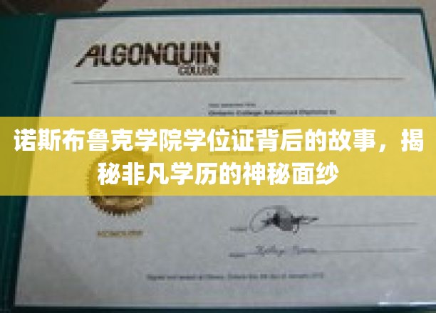 探寻诺斯布鲁克学院学位证之谜，非凡学历背后的传奇故事
