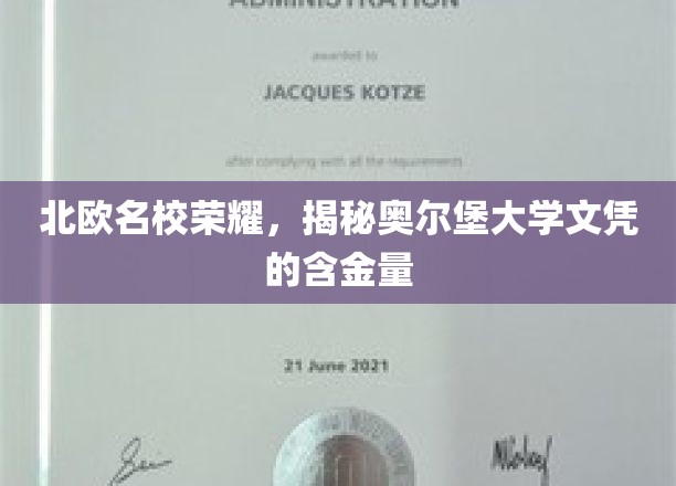 解锁北欧名校魅力，奥尔堡大学文凭的非凡价值