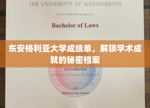 东安格利亚大学成绩单，揭秘学术成就的秘密档案