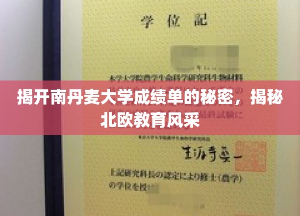 解码南丹成绩单，一窥北欧教育魅力