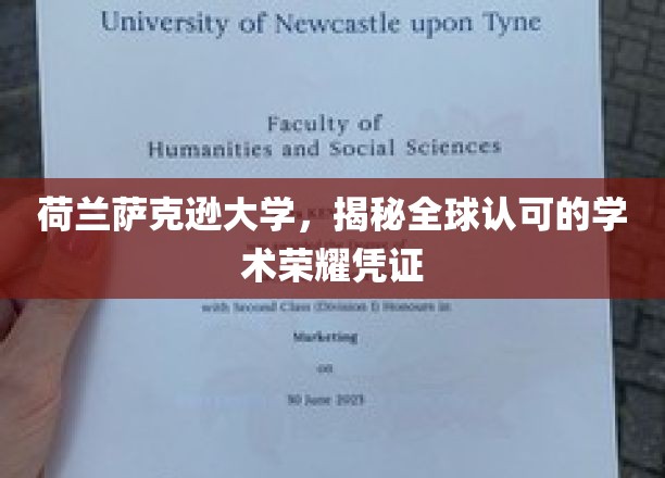 解锁全球声誉的荷兰萨克逊大学学术桂冠